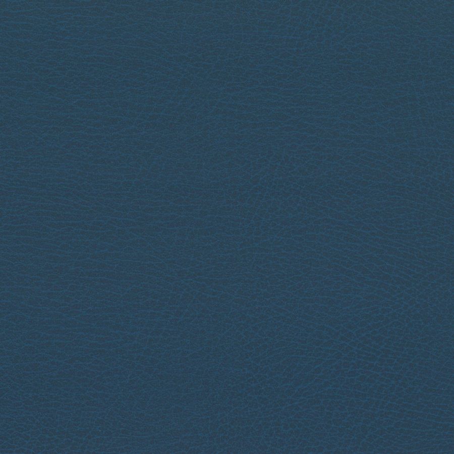 Aegean