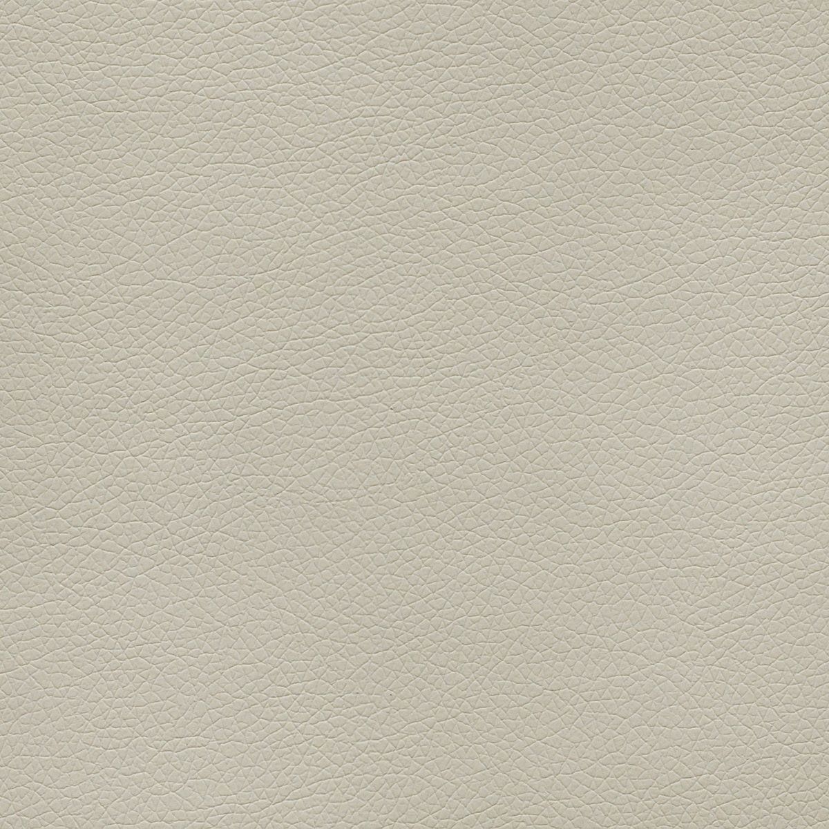 Canter  swatch 7