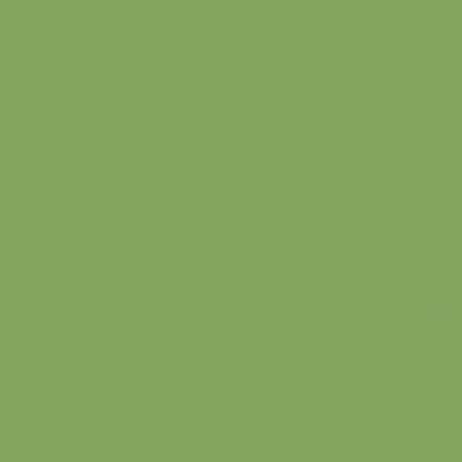 Parakeet SPO30