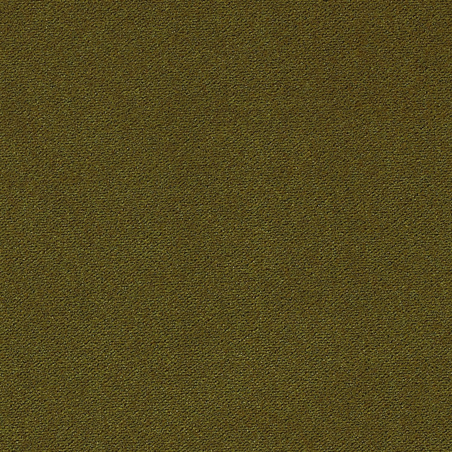 Moss