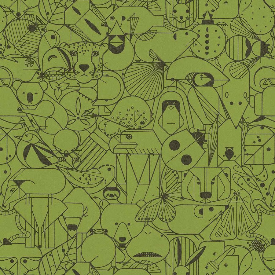 Tortoise 3043-502