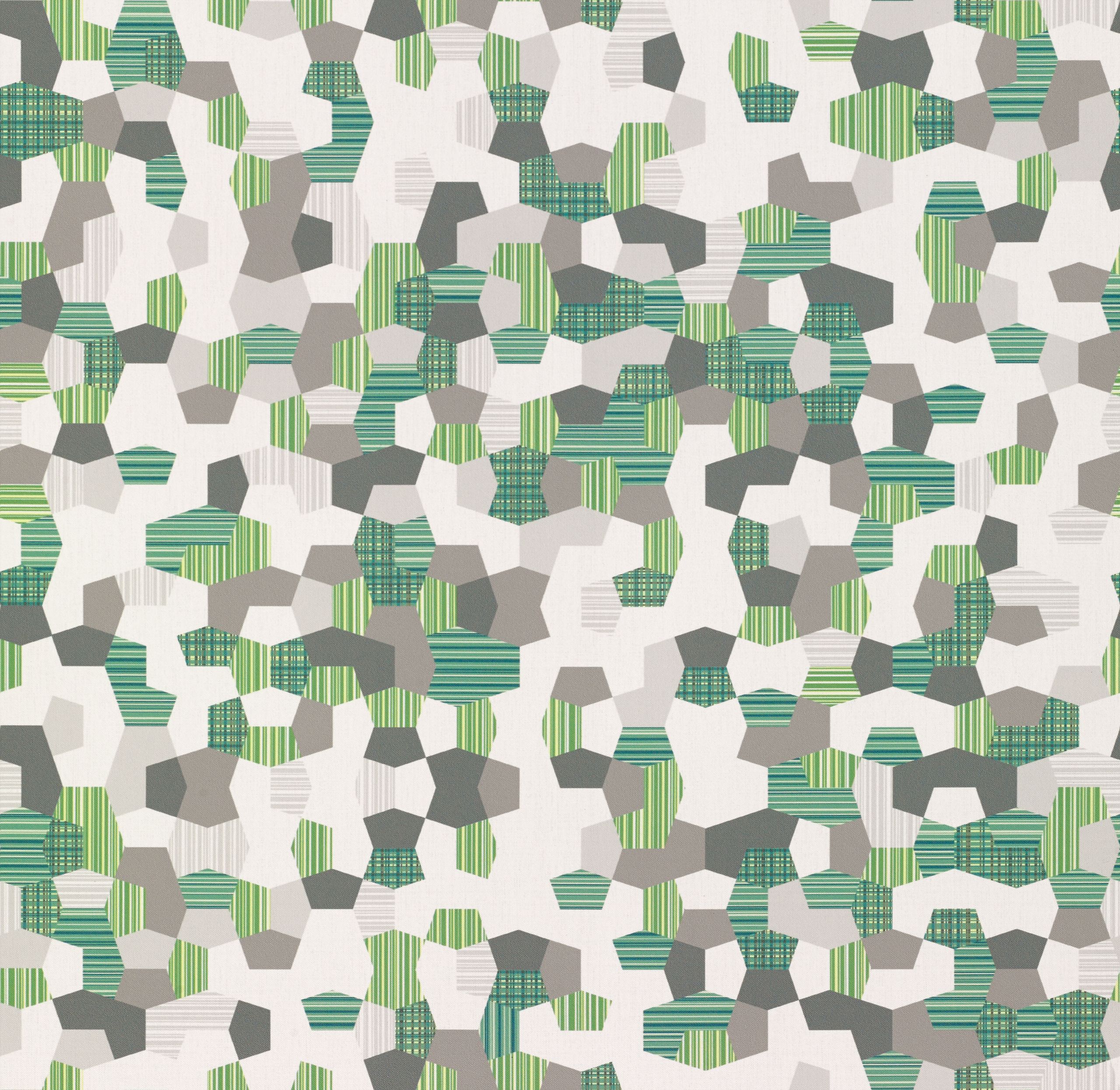 Fern