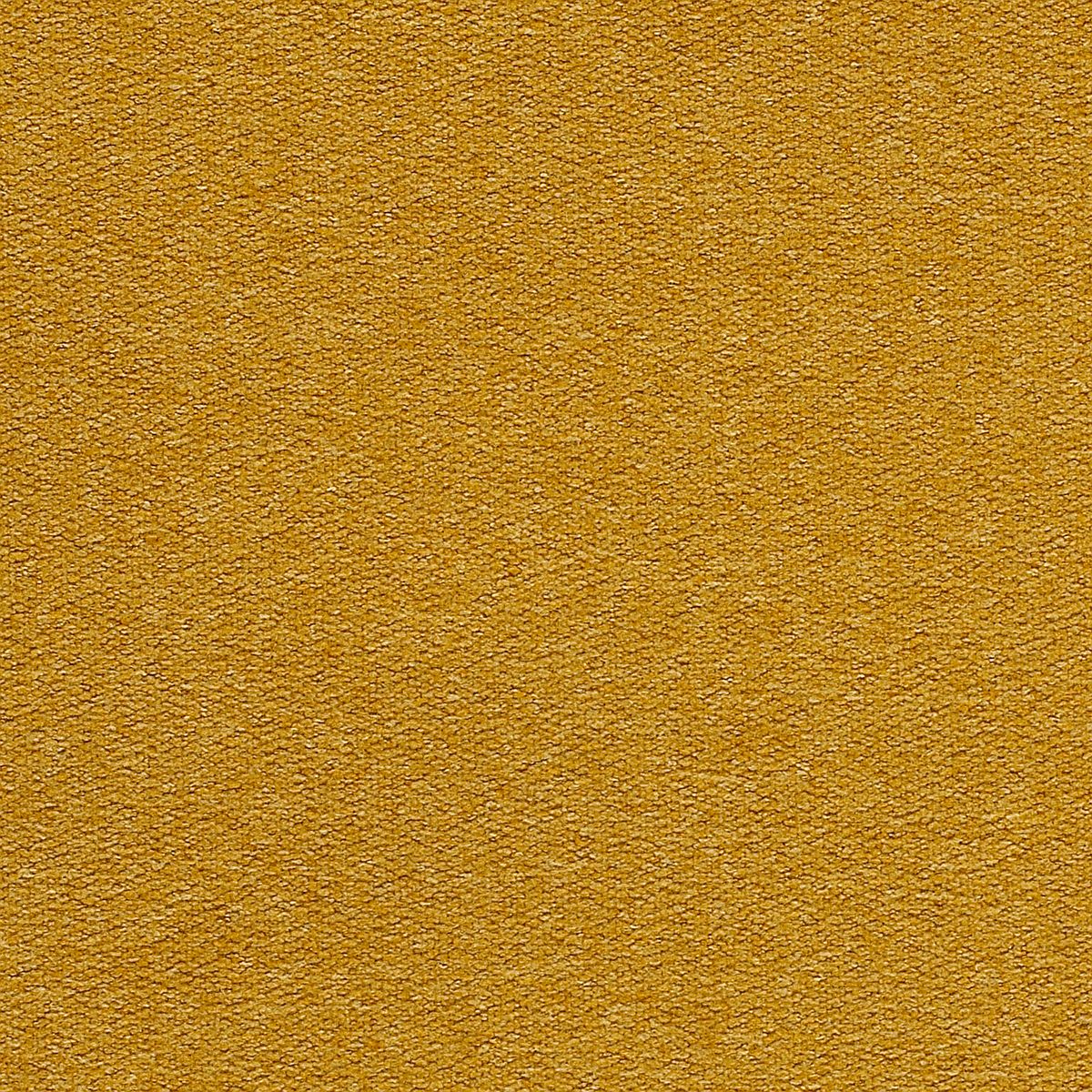 Pumice