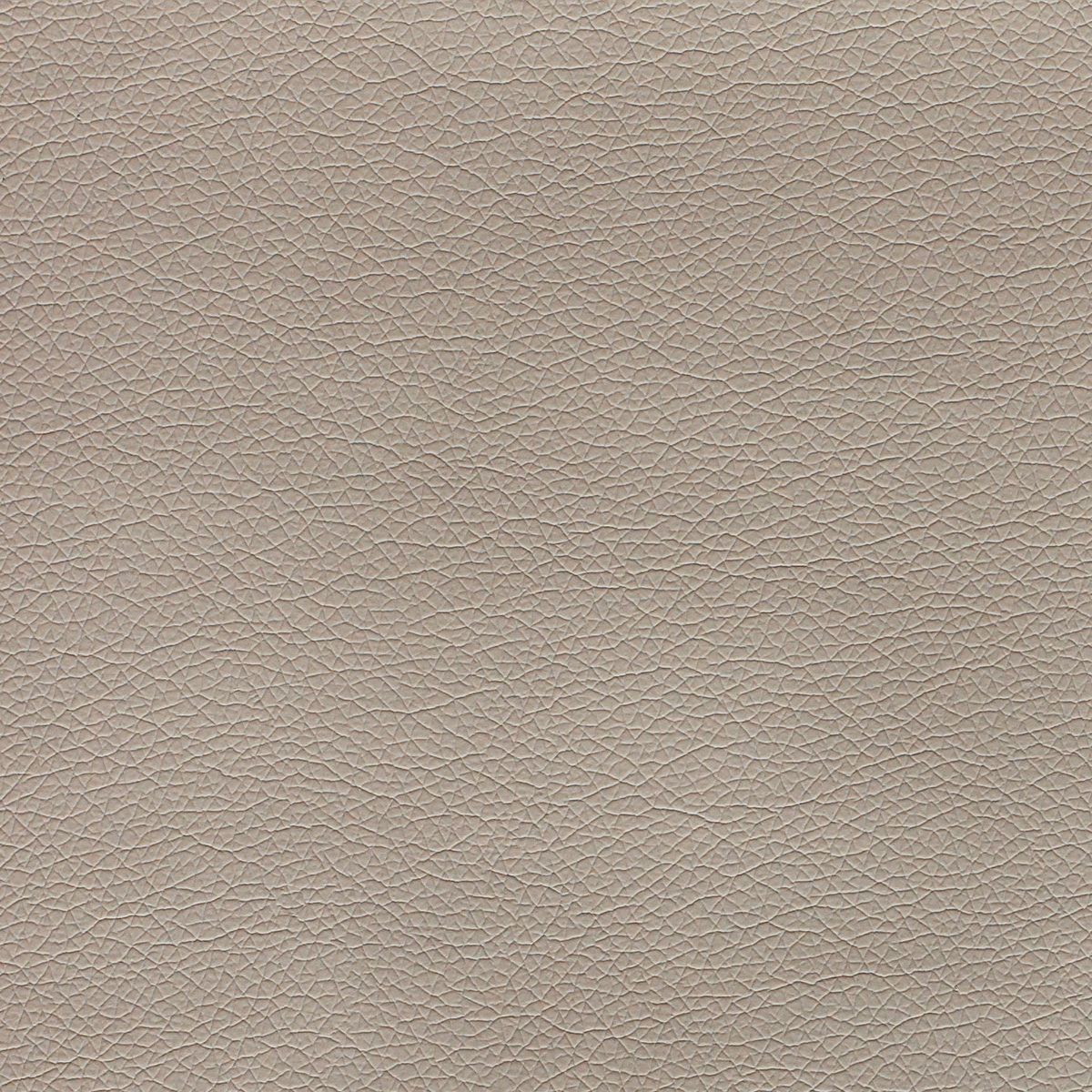 Canter  swatch 4