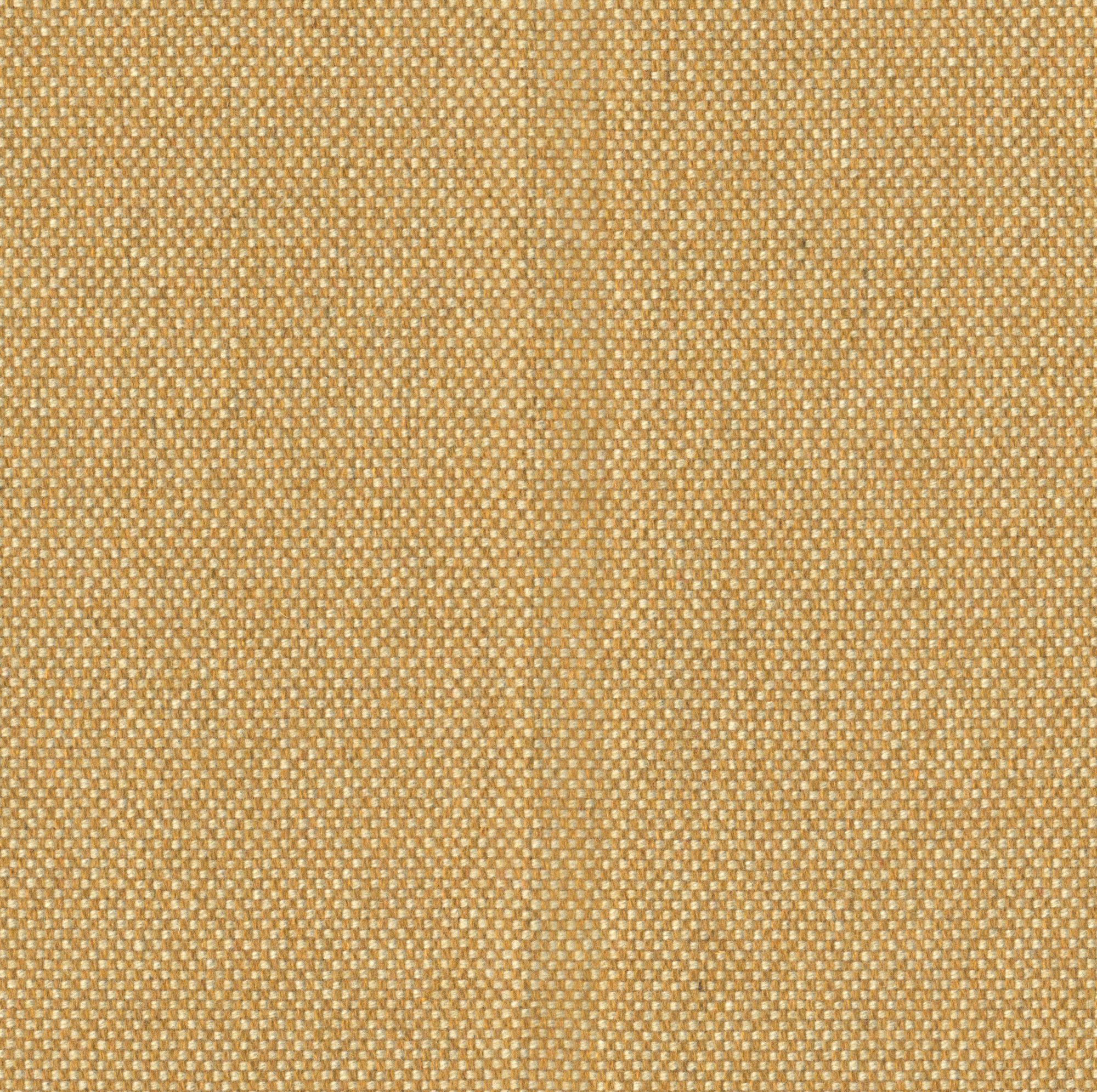 Kernel