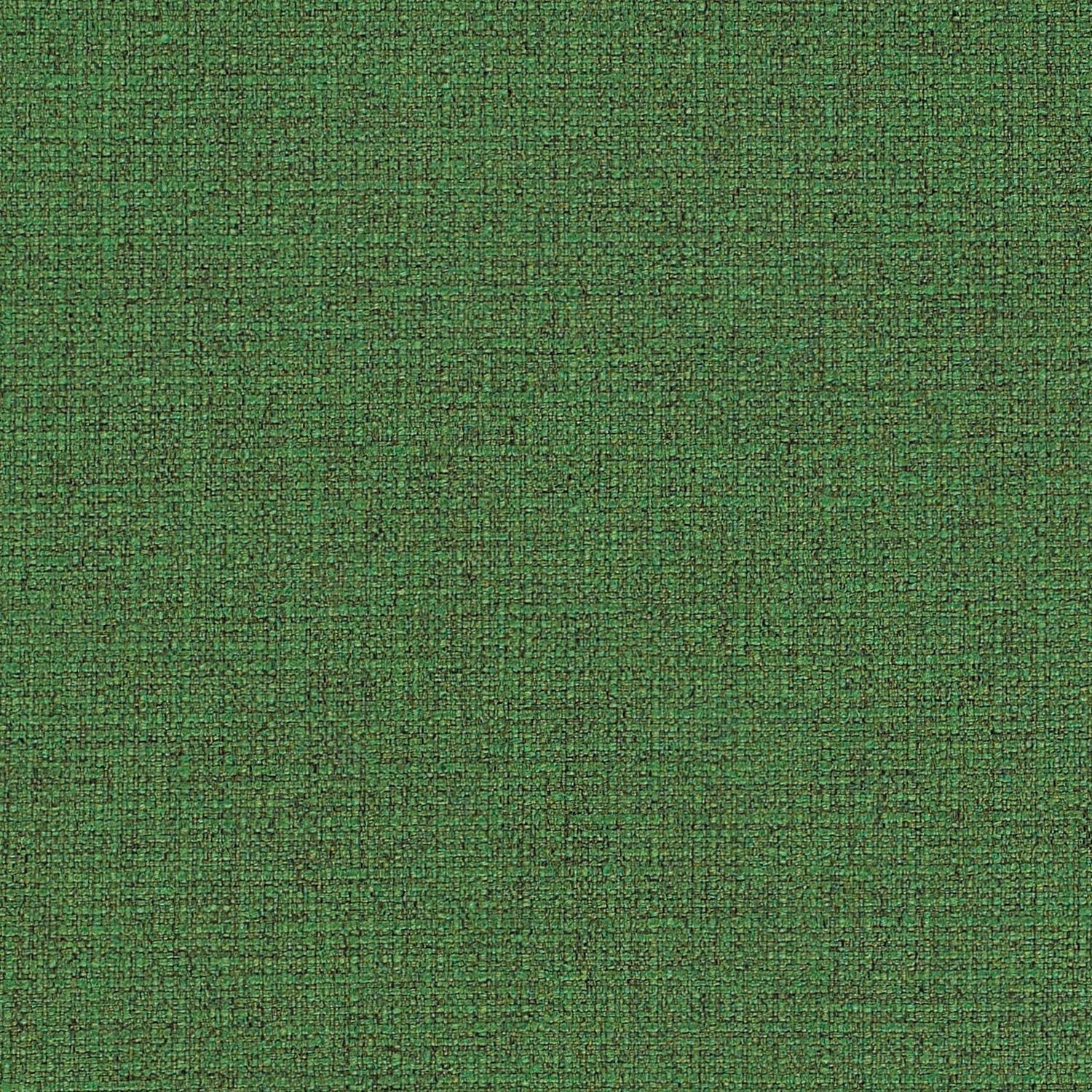 Ivy
