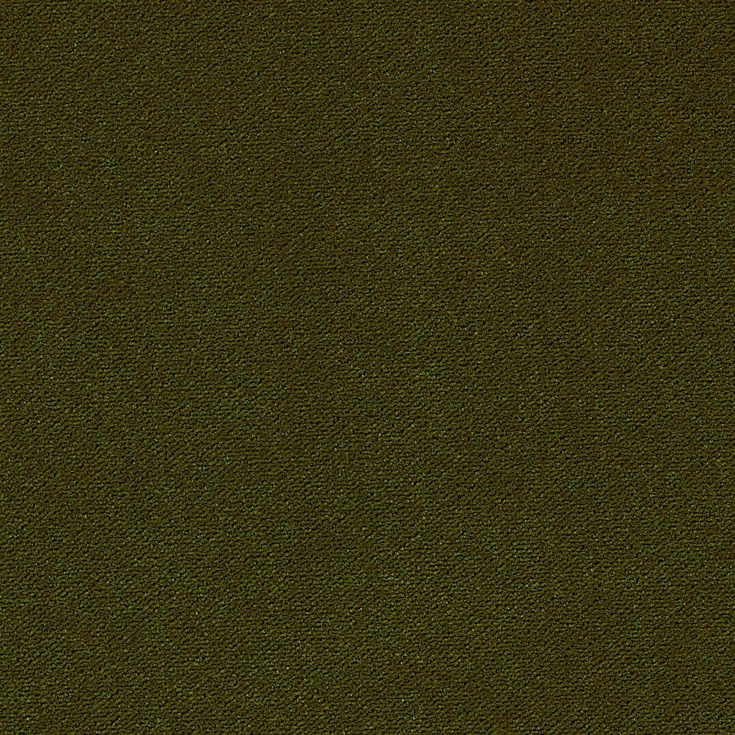 Pine