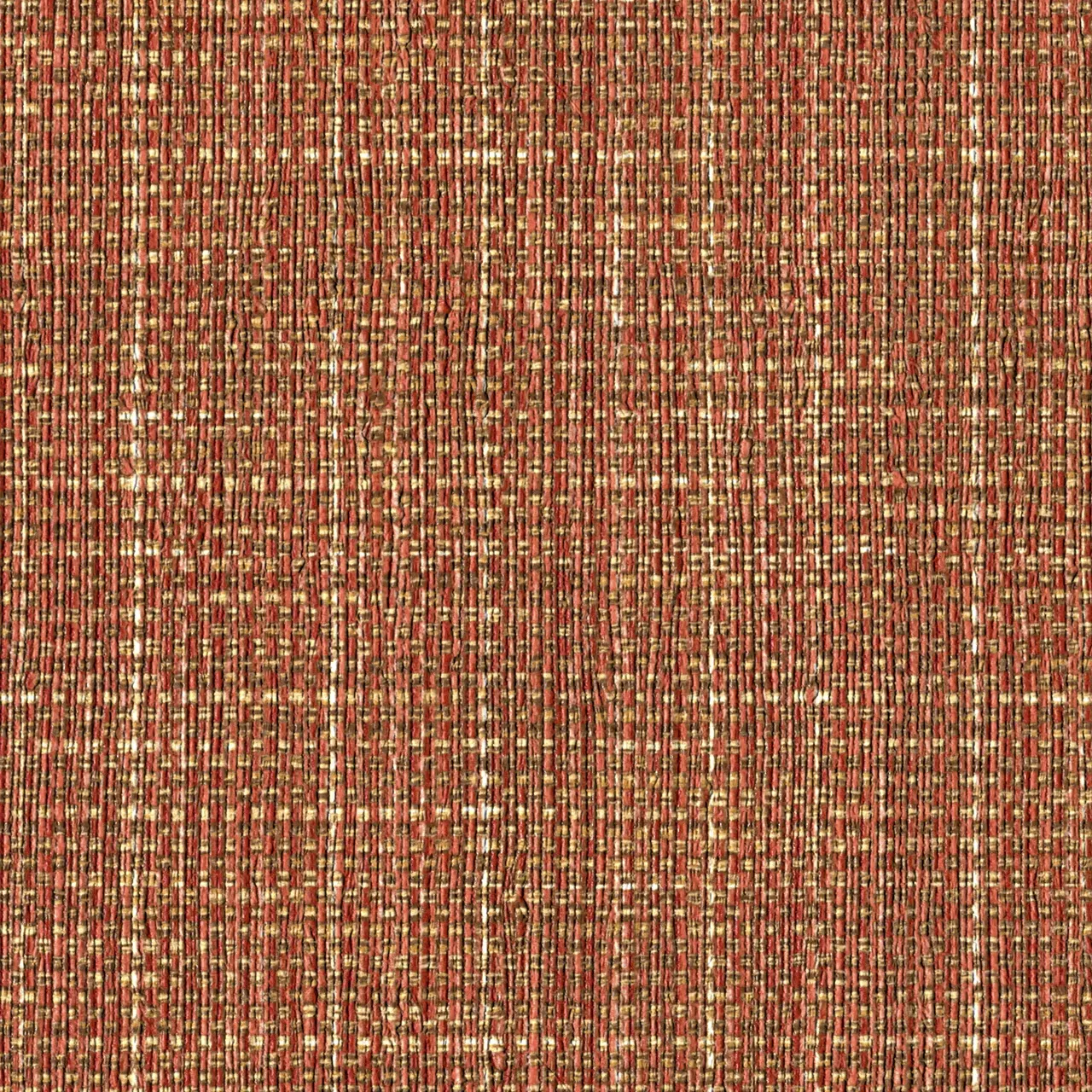 Coral Orange