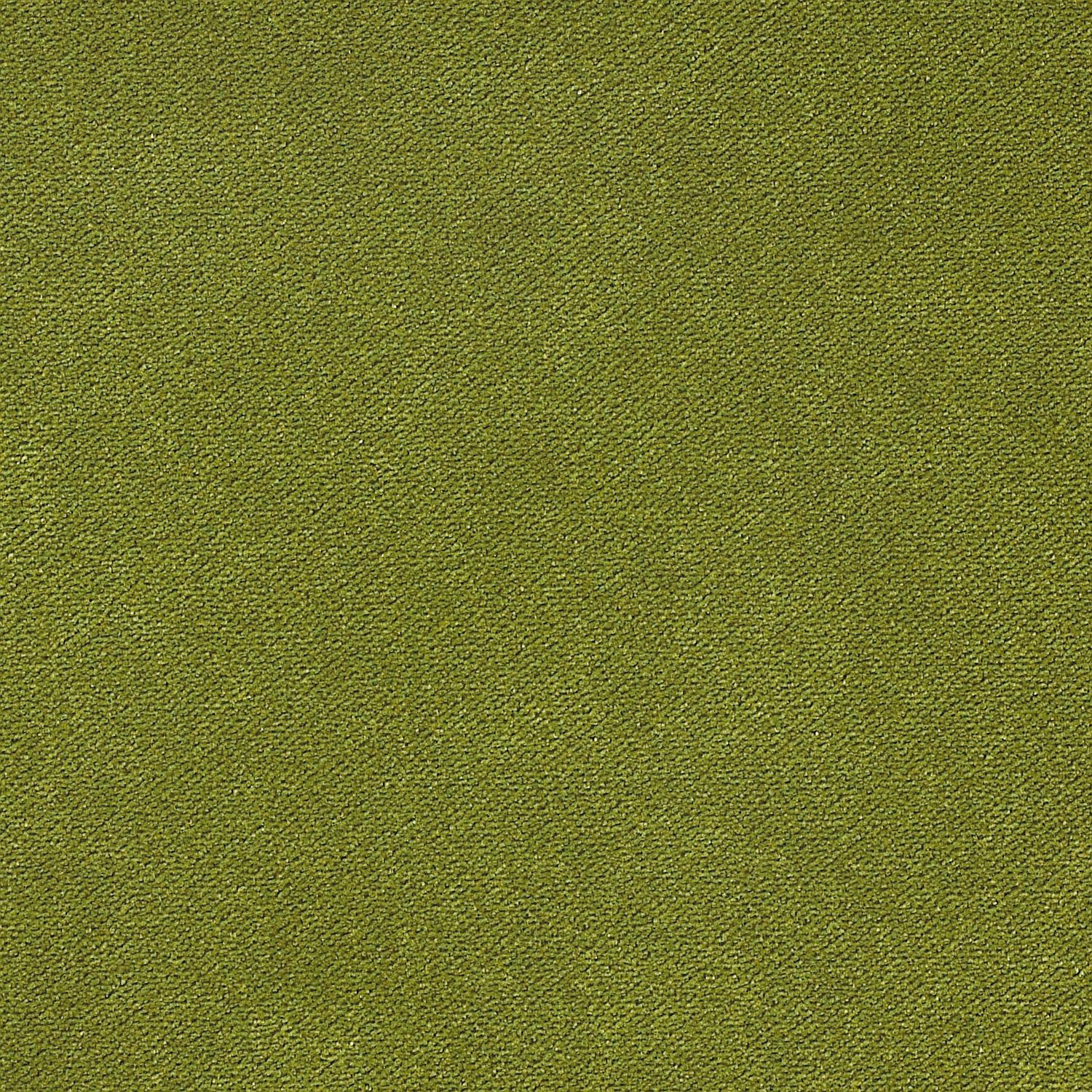 Grass