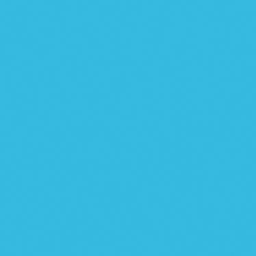 Macaw Blue T20 