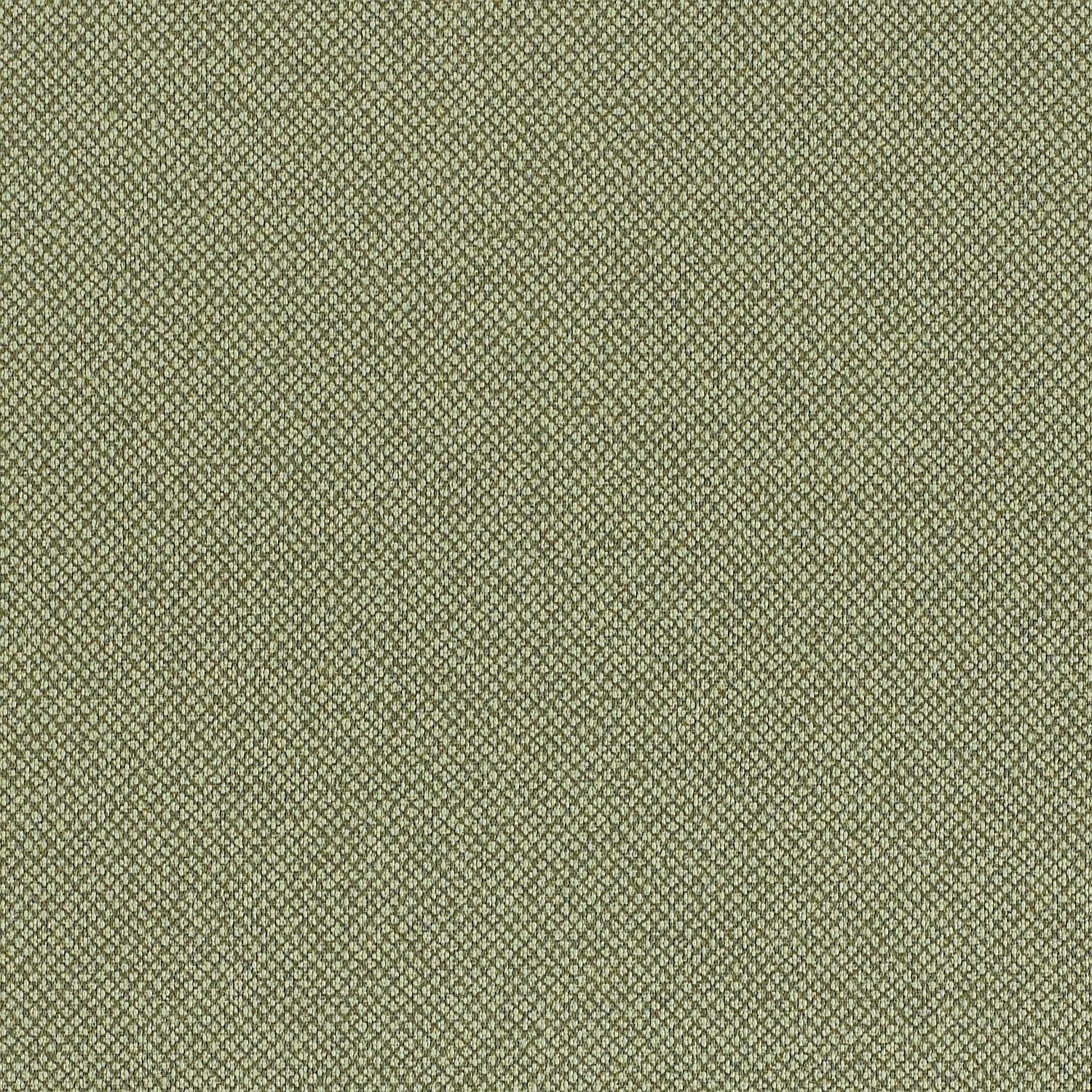 Lichen
