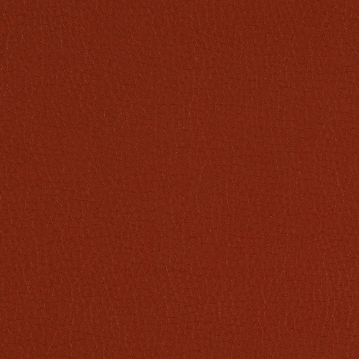 Canter  swatch 2