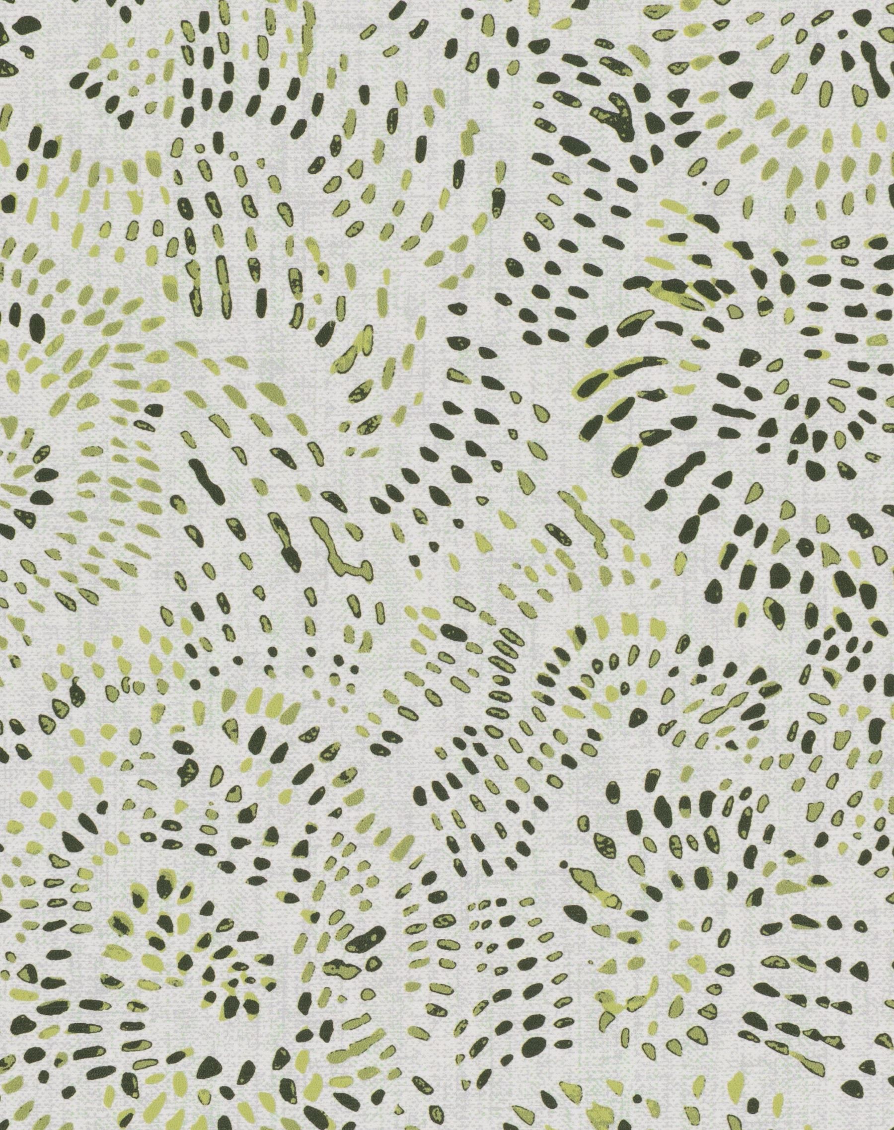 Fern 