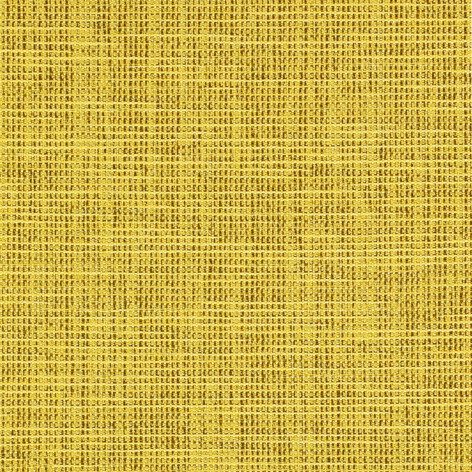 Limon