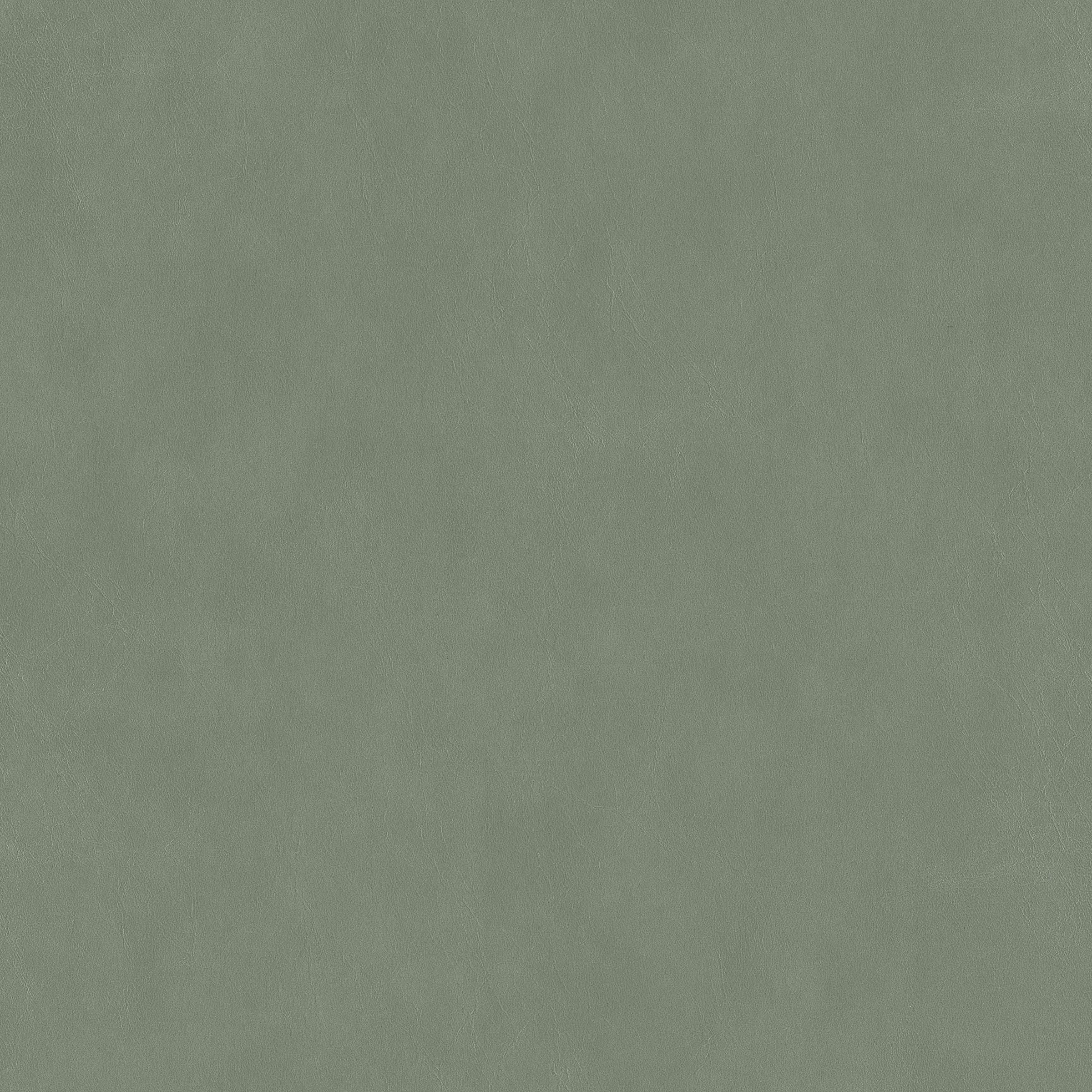 Cordovan swatch 2