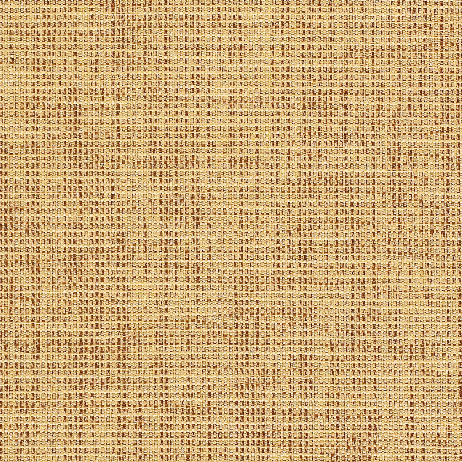 Maple