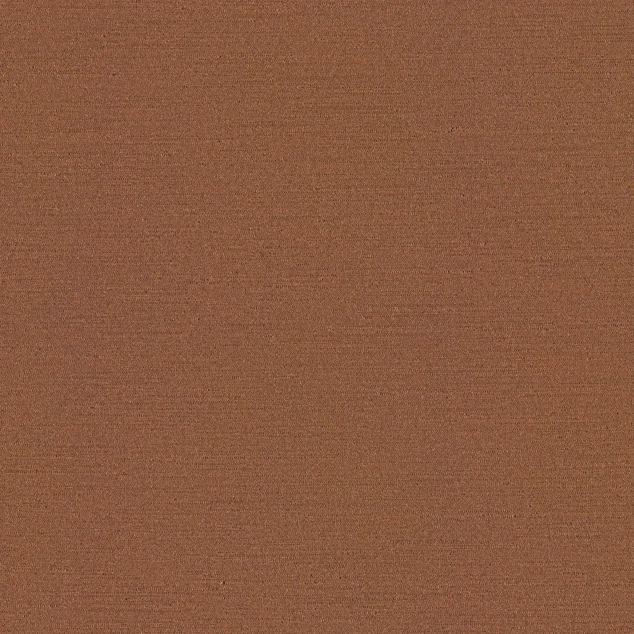 Coral 3809-303