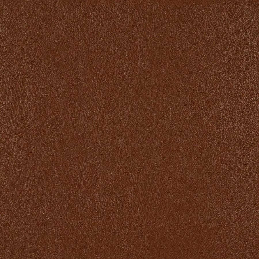 Chicory 3919-112