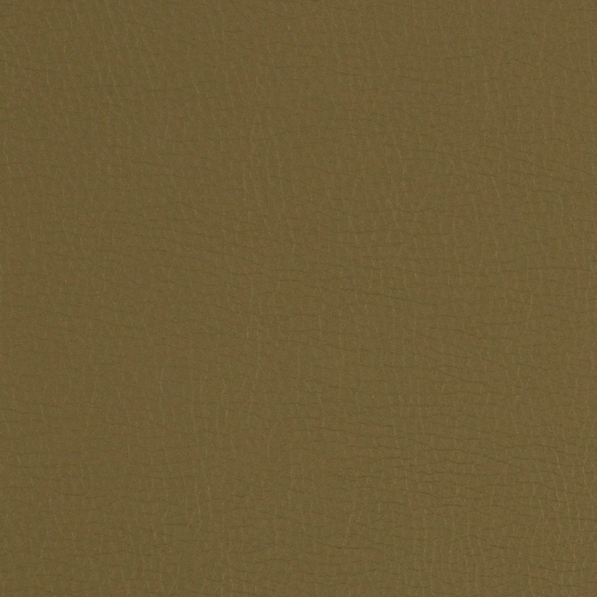 Canter  swatch 1