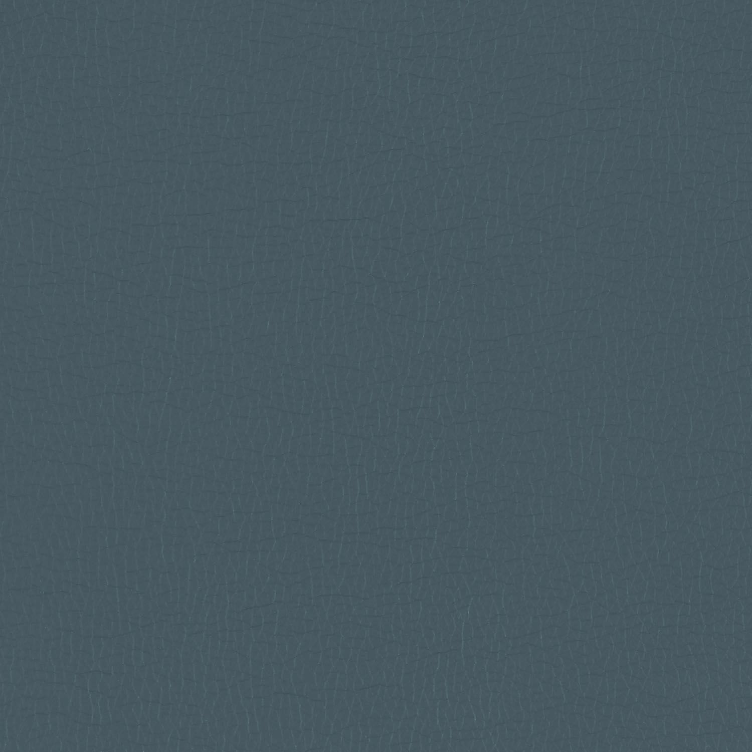 Canter  swatch 3
