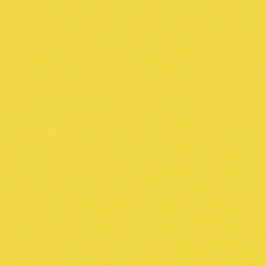 Finch