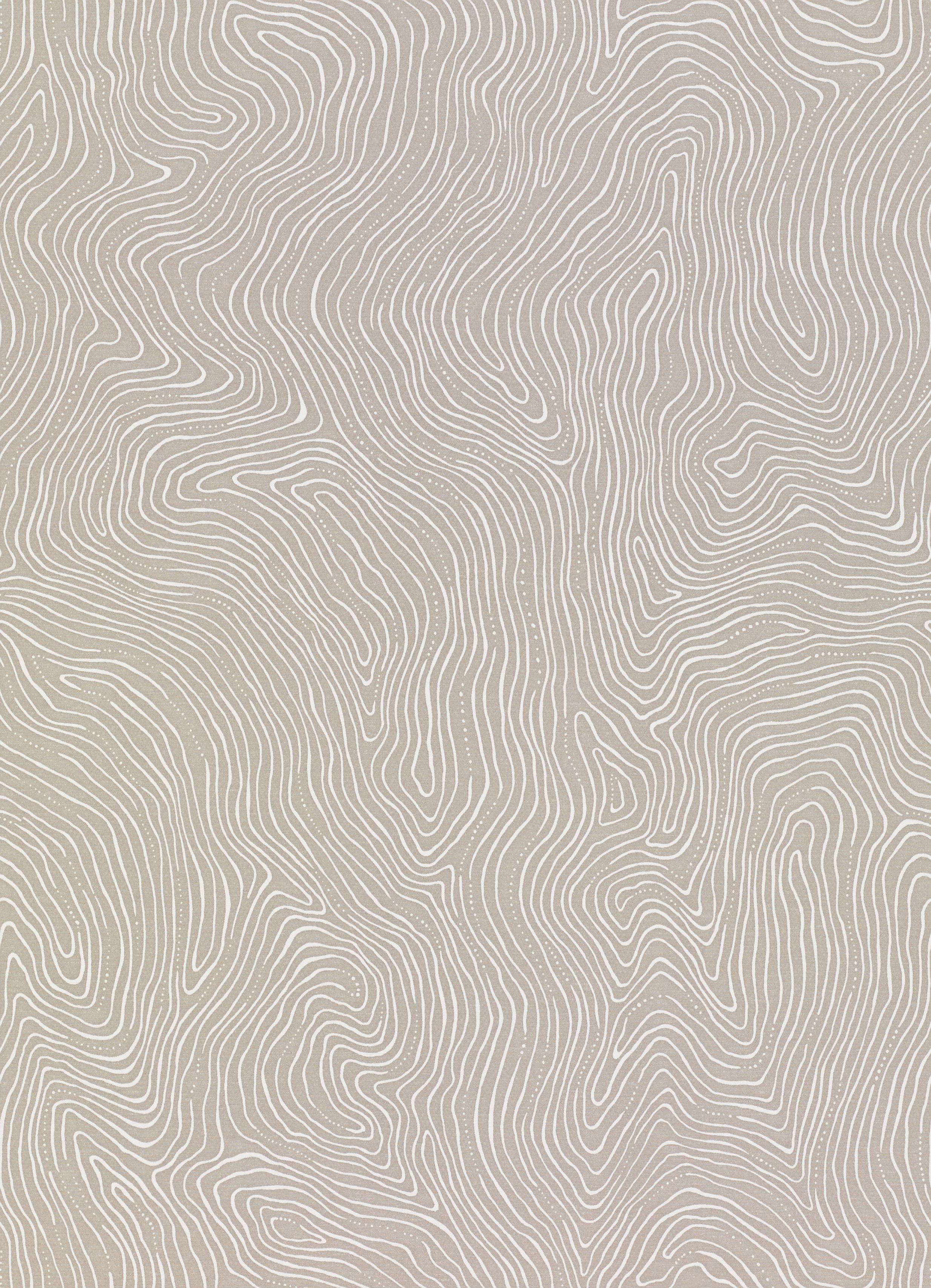 Pebble