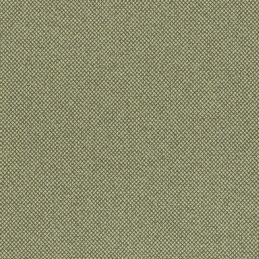 Lichen