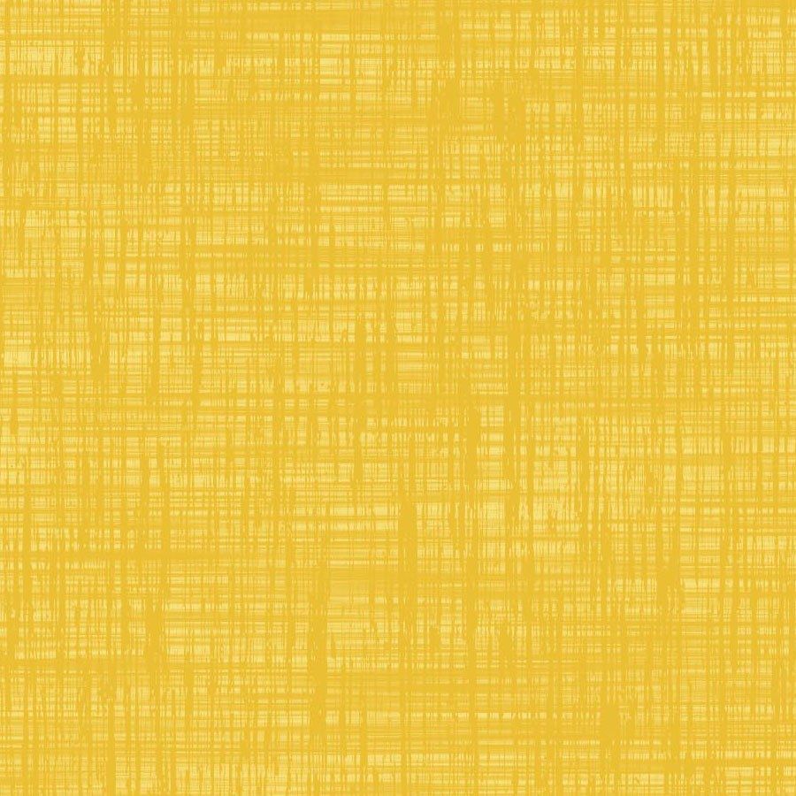 Sunny Side Up (GII)