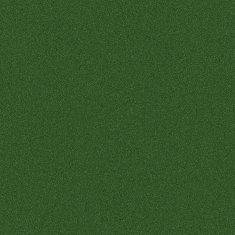 Grass