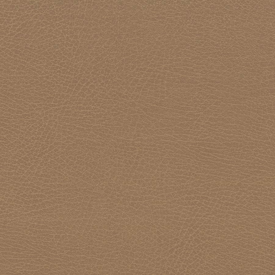 Desert