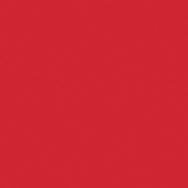 Cardinal T24 