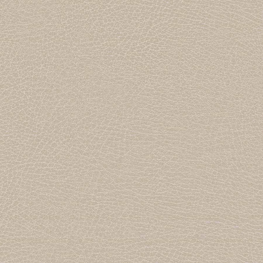 Parchment