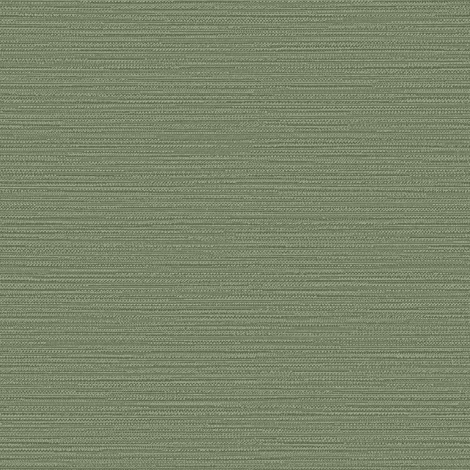 Fern