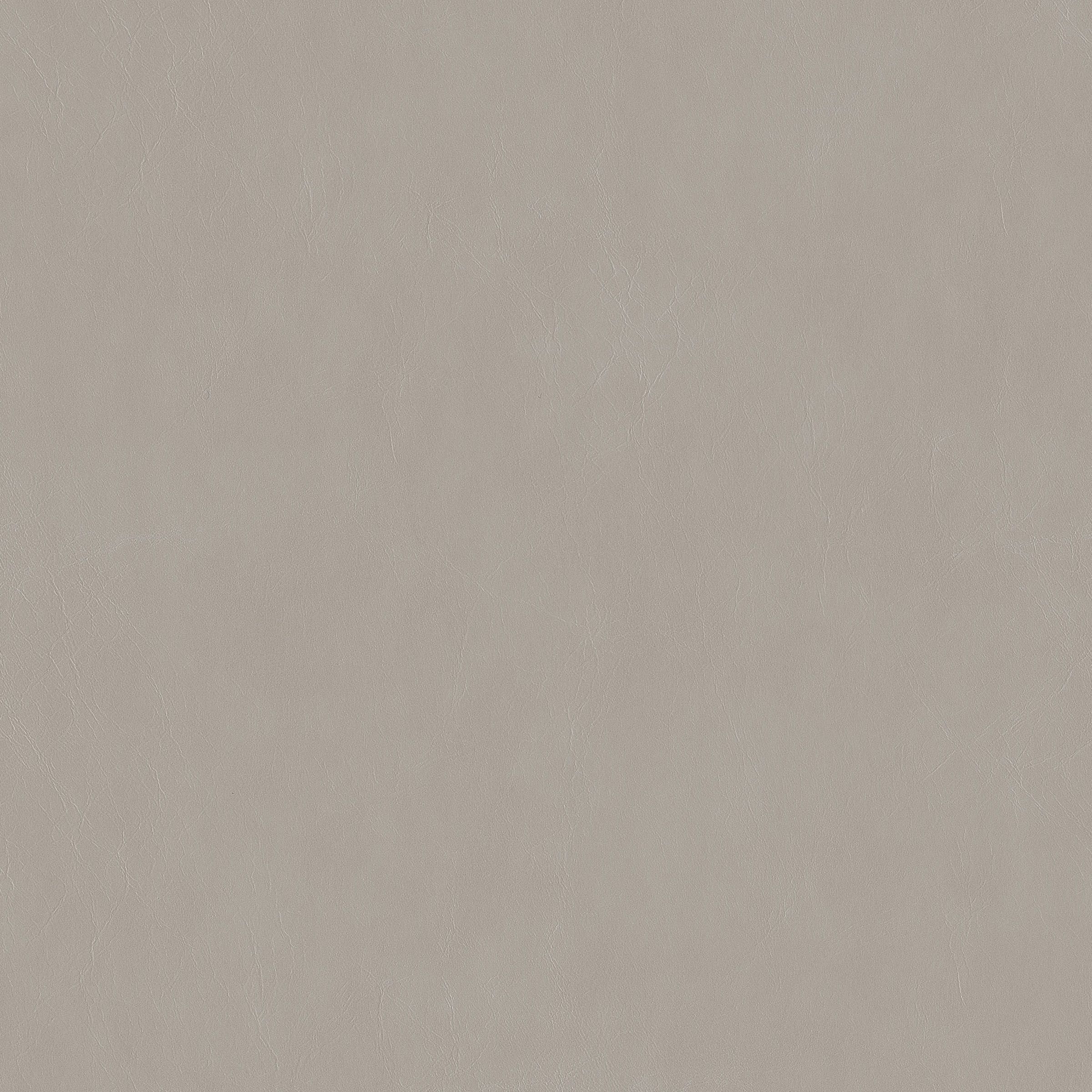 Cordovan swatch 5