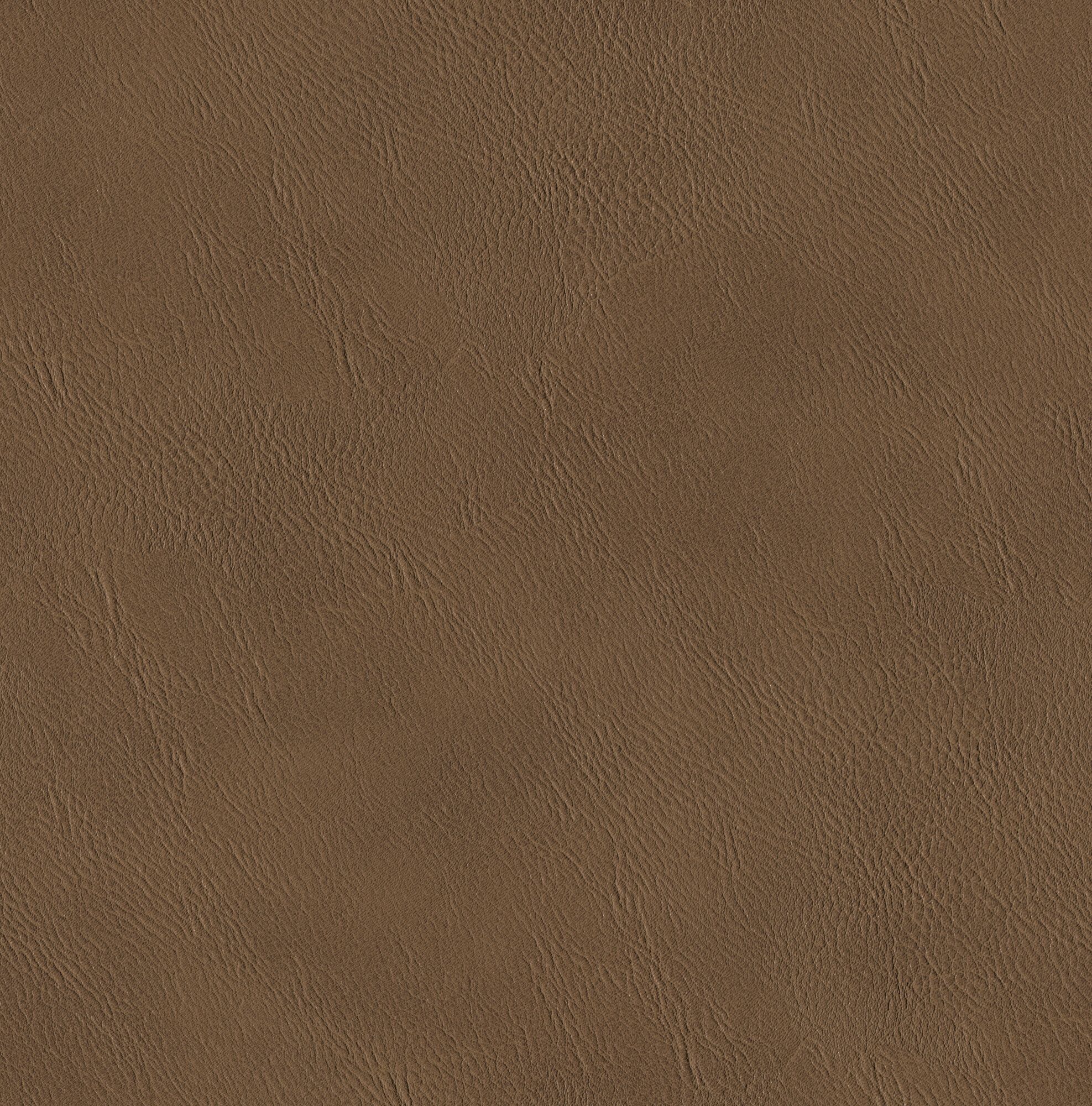 Sable