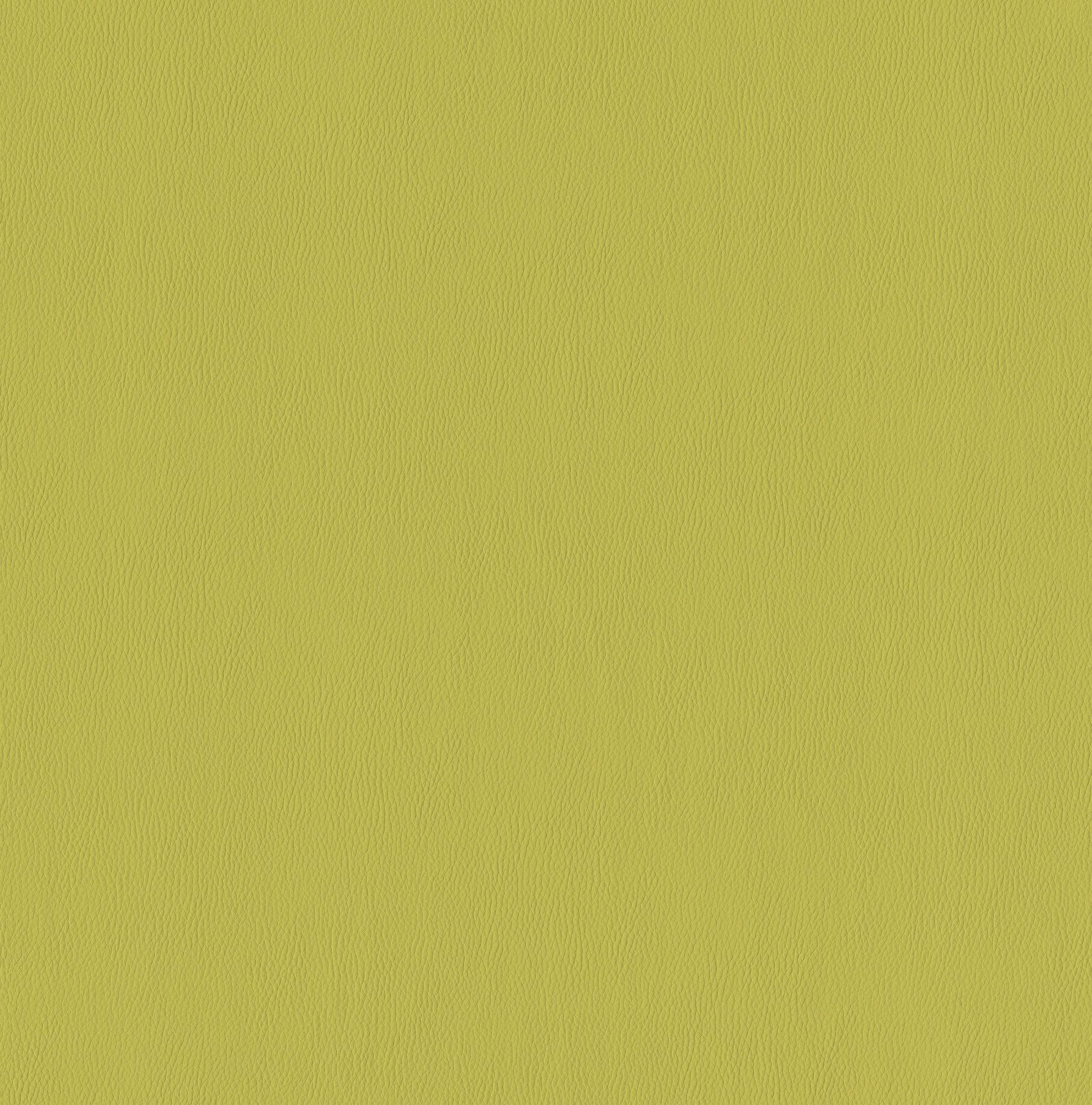 Sprout