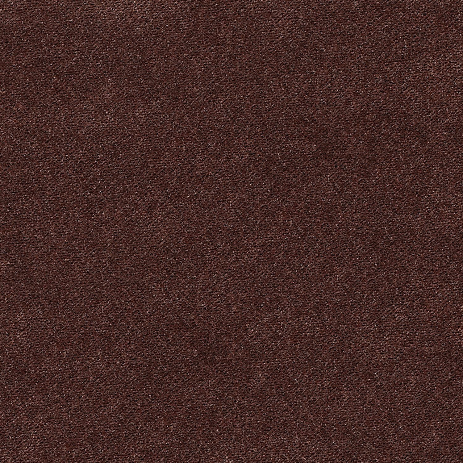 Bark