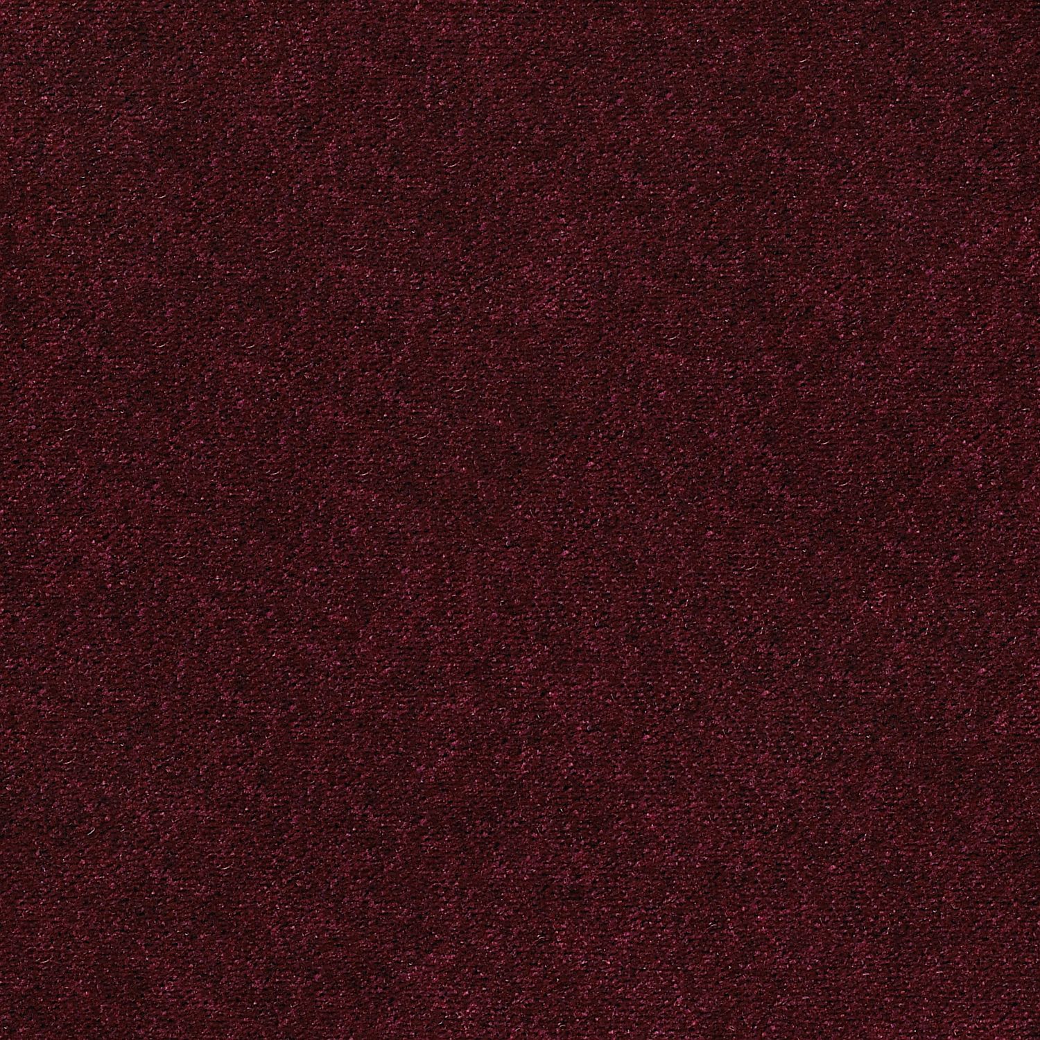 Merlot