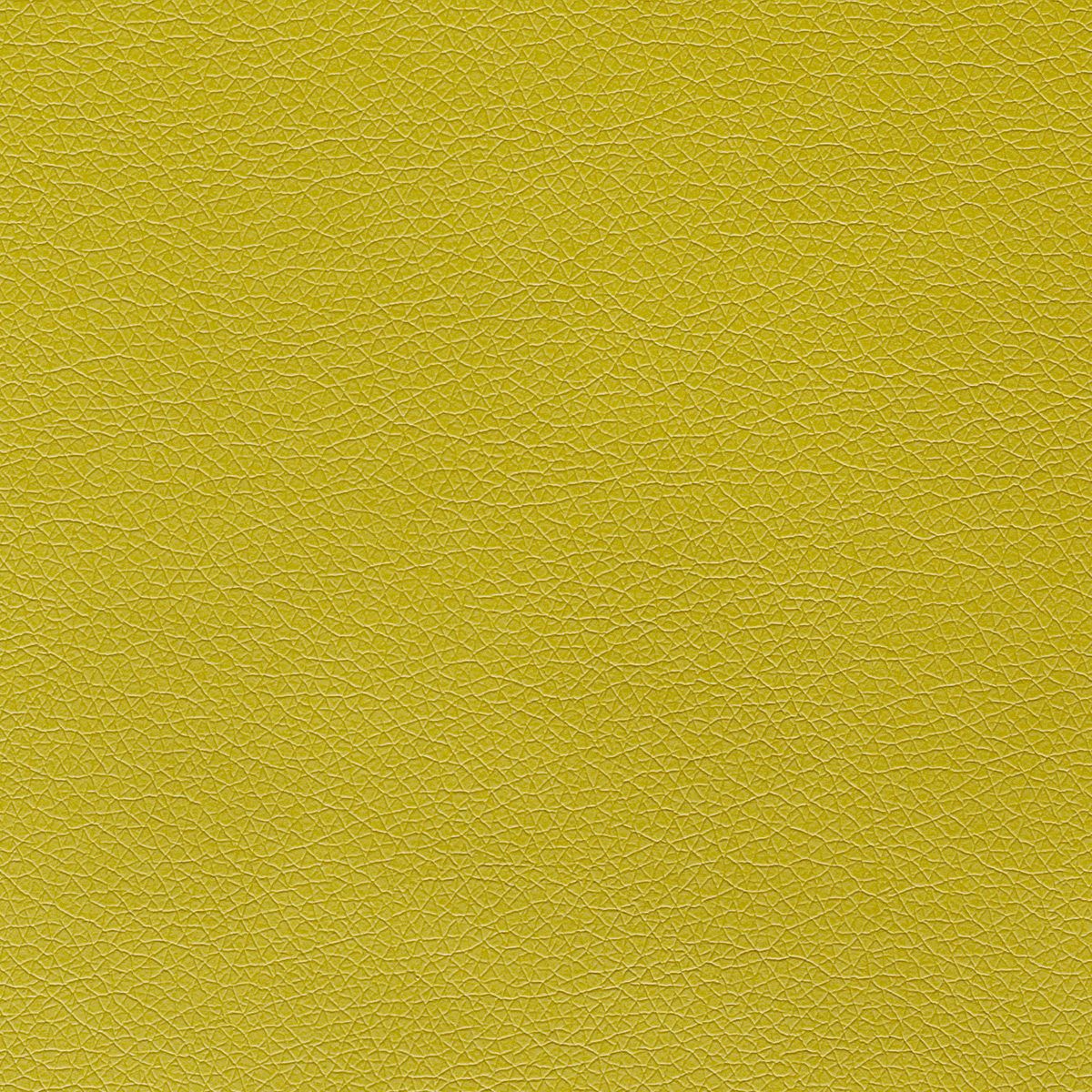 Kiwi Green