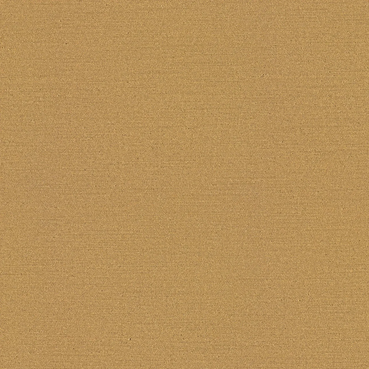 Beach 3809-202