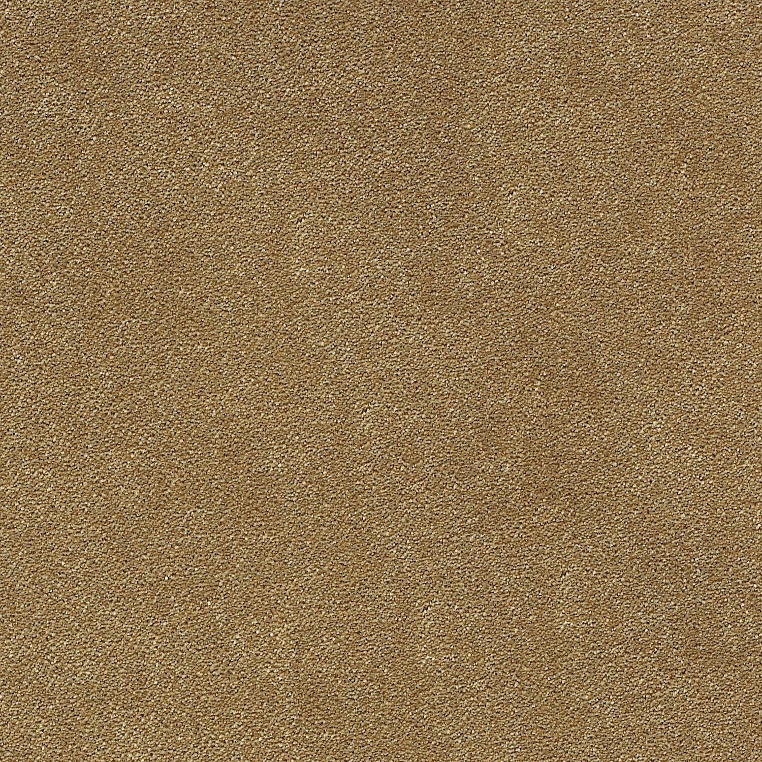 Oat