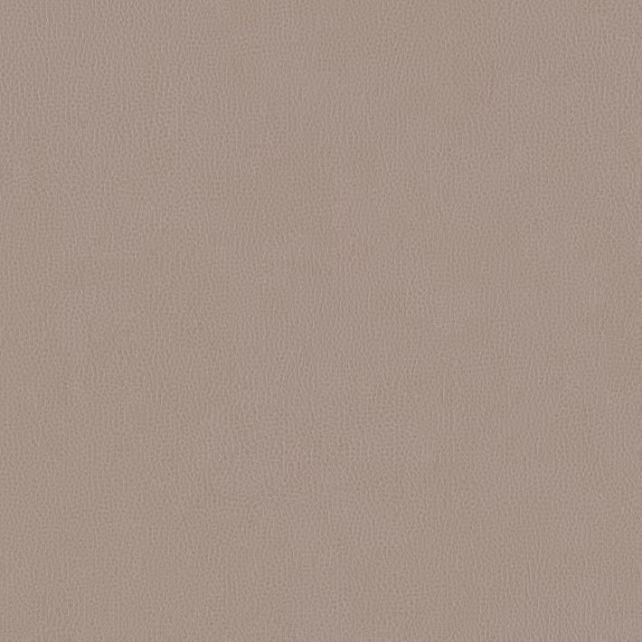 Dove